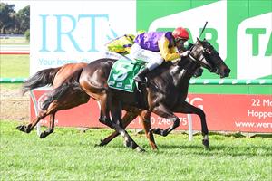 FILLY PRODUCES GEM